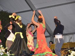 Festival de Folkore en Mula